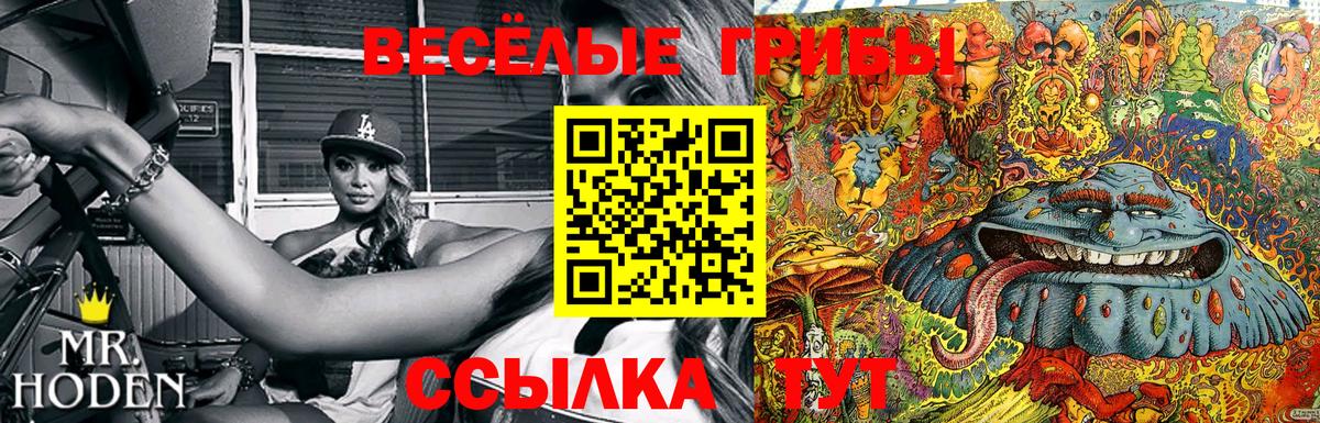Ногинск  Галлюциногенные грибы ЛСД  Псилоцибиновые грибы мухоморы  Вход с VPN 