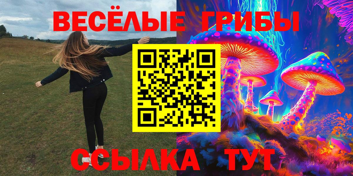 Псилоцибиновые грибы GOLDEN TEACHER Ногинск